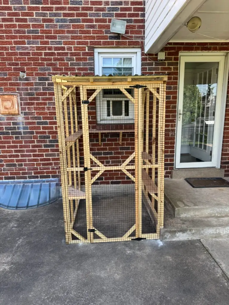 Catio Building in Conshohocken